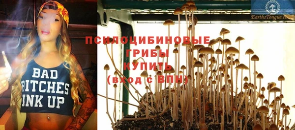PSILOCYBIN Армянск