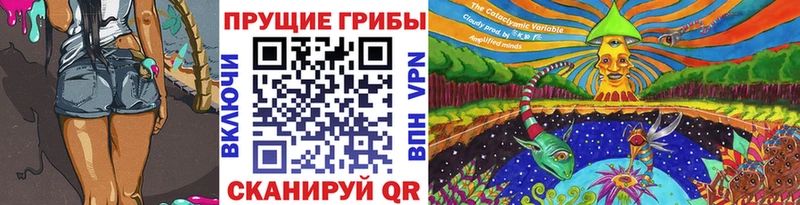 Псилоцибиновые грибы GOLDEN TEACHER Красный Кут